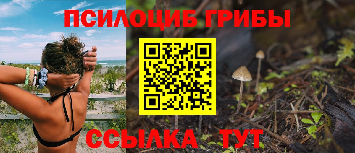 Псилоцибиновые грибы GOLDEN TEACHER Нягань