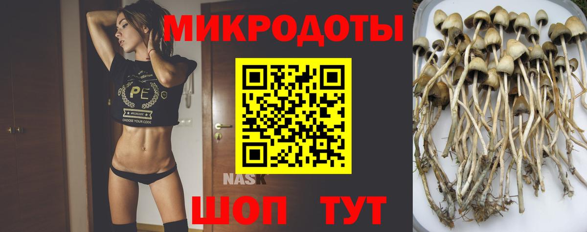 Нягань  Галлюциногенные грибы мухоморы  Псилоцибиновые грибы мицелий  Вход с VPN 